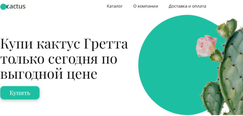 Интернет магазин